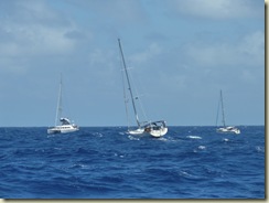 P1070247