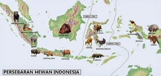 Tentang Pembagian Fauna Di Indonesia