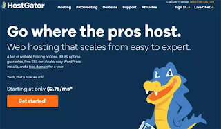 HostGator web hosting