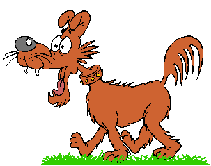 Perro