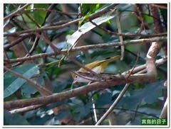 20131129_124132_0801_4kanShui