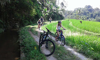 Cycling Tour Ubud