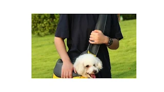 Comfort & Style On the Go – The Perfect Pet Carrier Sling