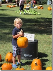 pumpkim 006