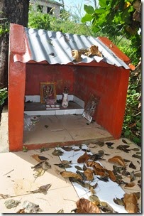 Vietnam_PhuQuoc_131108_DSC_0356