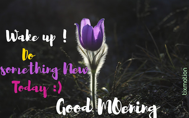 [Good Morning] Wake Up Do Something New Today Good Morning