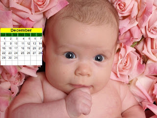 Cue Baby Desktop Calendar 2013