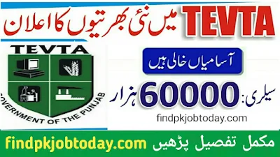 TEVTA Jobs