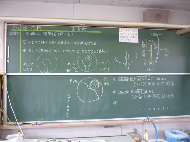 アサガオの花粉や花壇の植物の花粉を顕微鏡で観察しよう。観察結果をもとに植物はどう