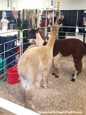 2017 Pennsylvania Farm Show 