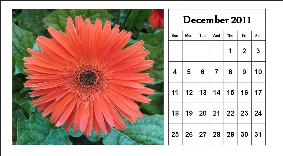 free 2011 calendar ireland