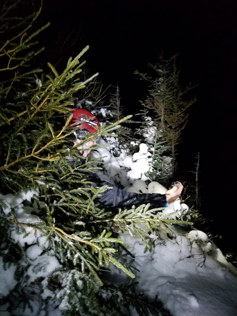 Nighttime Winter ascent of the Watcher, Franconia Notch State Park