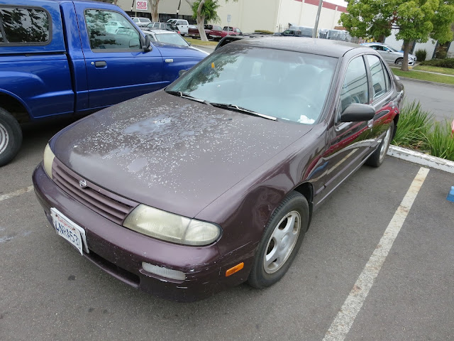 Nissan Altima with faded paint before whole car paint at Almost Everything Auto Body