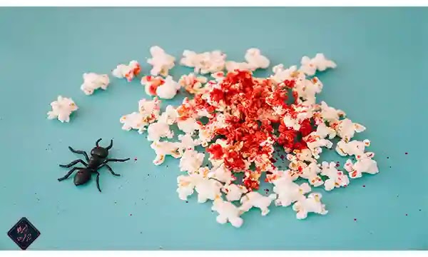تفسير حلم النمل الأبيض والأحمر على الفراش للنابلسي