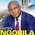 Chronique d’un vrai-faux arrêté de Gentiny Ngobila
