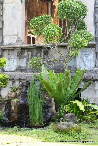 IMG_8825 IMG_8825