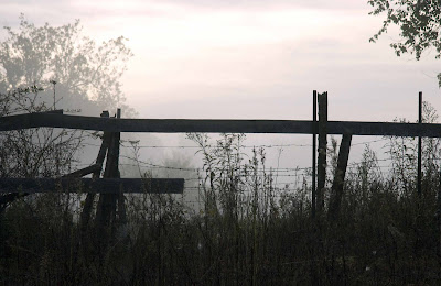 Fence at First Light