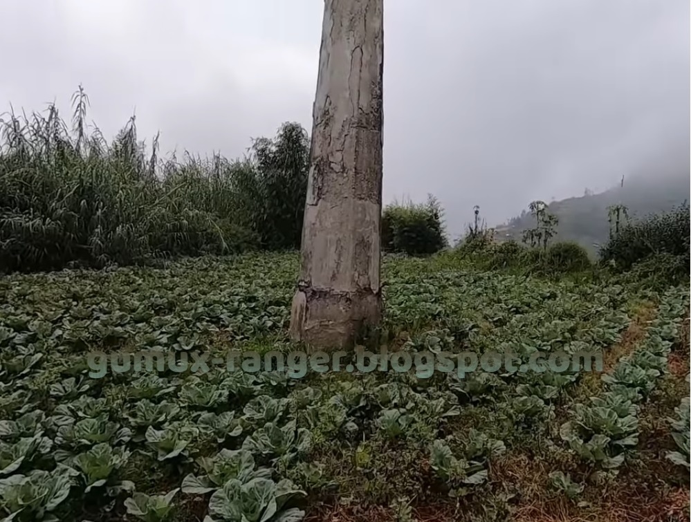 Tugu Peringatan Hilangnya Dukuh Legetang