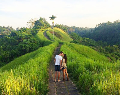 Relaxing at Campuhan Hill Ubud, it's an exotic view that tourists, walk