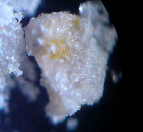 powdered stone.Magnification - 100 times
