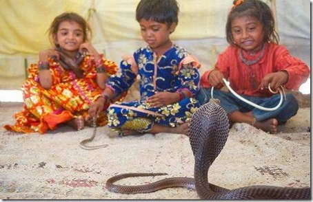 young-snake-charmers1