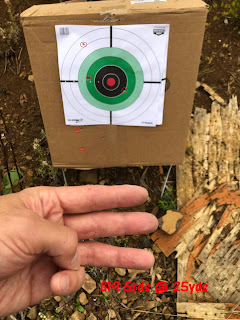 target shooting plinking birchwood paper target