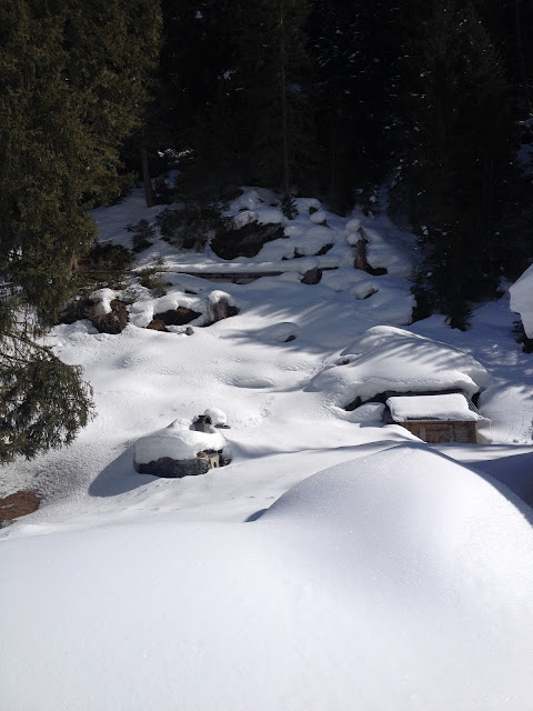 Raquetas de nieve