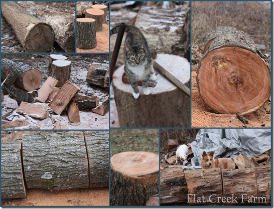 log_collage