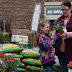 Cash-mobbed garden shop revels in new interest- Kane County Chronicle