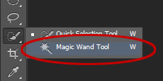 The Magic Wand Tool.