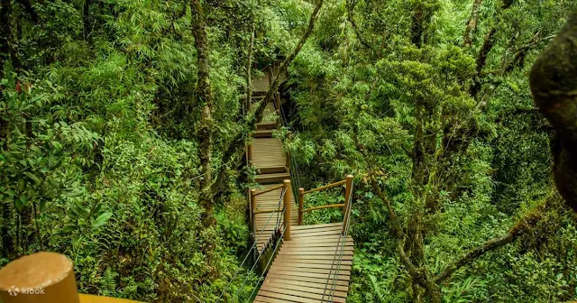 Tempat Menarik Di Cameron Highland