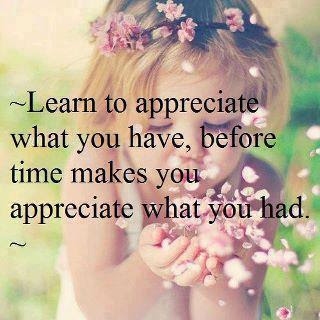 Learn to appreciate what you have, before time makes you appreciate what you had.