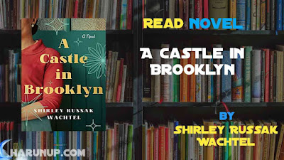 Read Novel A Castle in Brooklyn by Shirley Russak Wachtel Full Episode