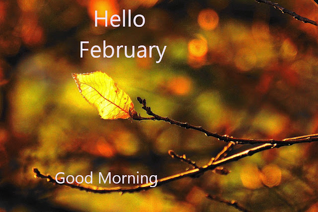 Good Morning Hello February.