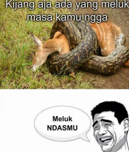 kumpulan meme lucu dan gokil bikin ngakak 7