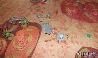 DSCF5779