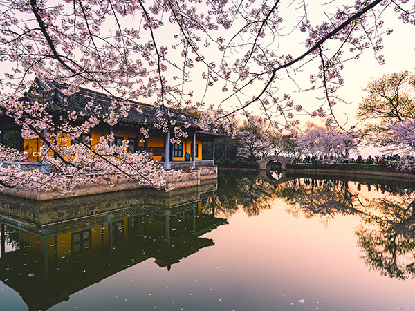 Spring Trip (Part 1): Spring at Wuxi 无锡 