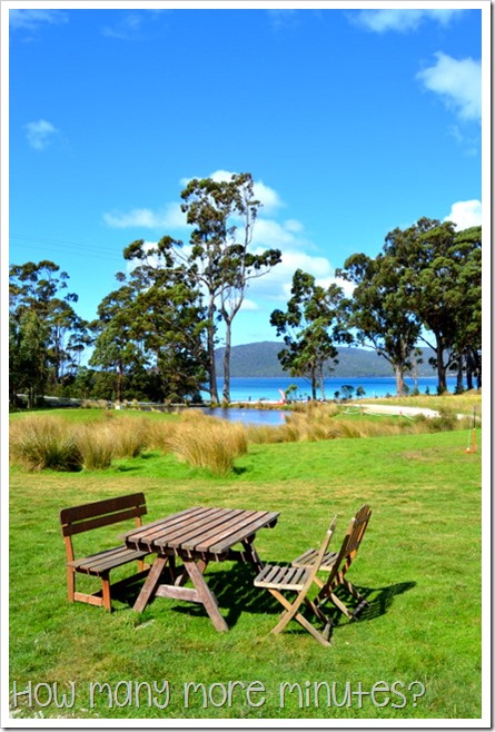 Bruny Island Berry Farm | How Many More Minutes?
