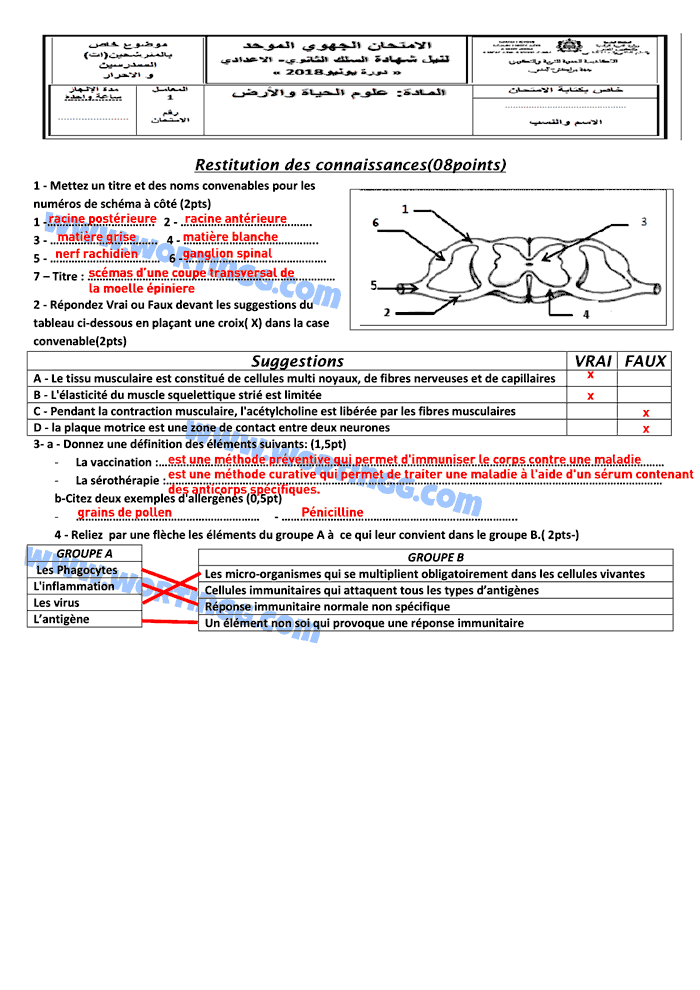examen régional svt 3ac pdf corrigé