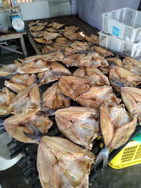 Ikan Jambal Roti Asli