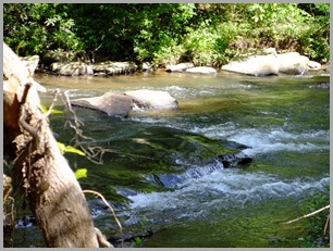 Just Love These Little Water Falls