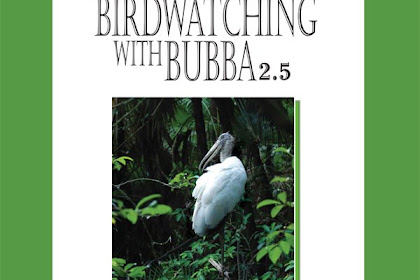 Birdwatching With Bubba