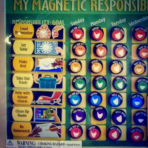 http://www.thearktoys.com/product/magnetic-responsibility-chart