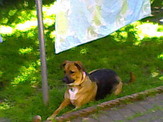 Jade Helps Mum With Laundry 