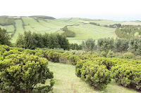 Café Portugal - PASSEIO DE JORNALISTAS nos Açores - São Jorge - Rosais - Sete Fontes