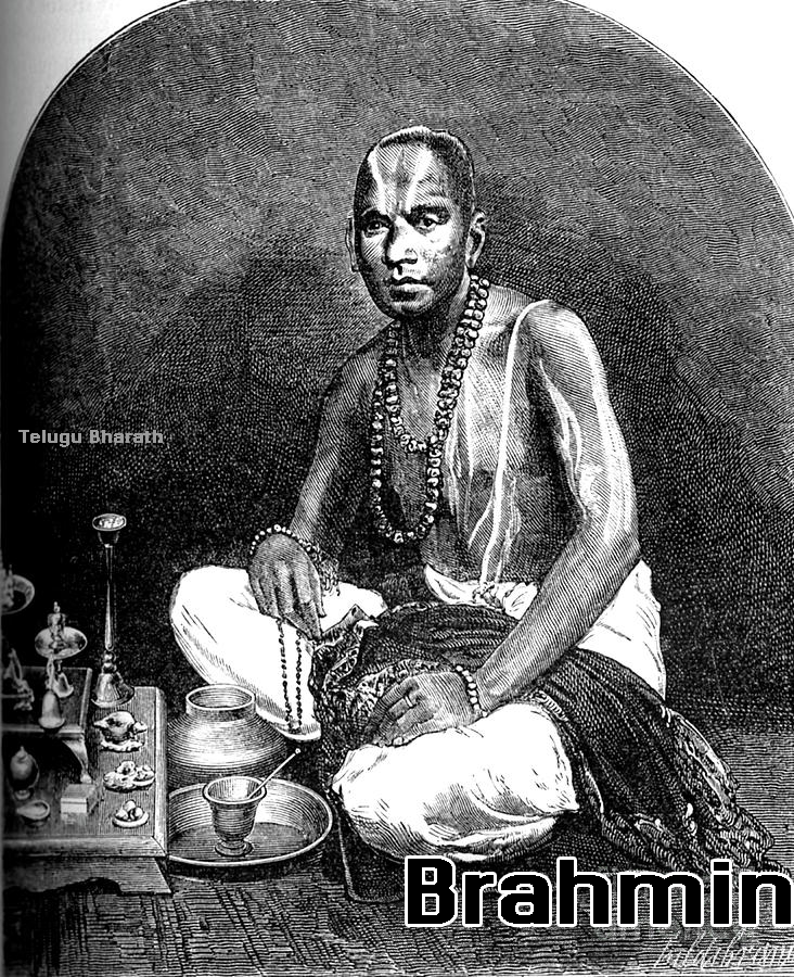 బ్రాహ్మణ నియోగులు - Brahmin Niyogis