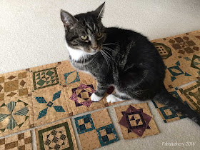 Suzi the cat helps with the Dear Jane Quilt