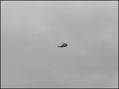 SDC12318