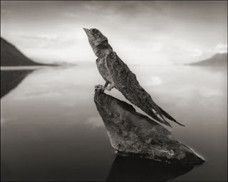 horrible lake natron