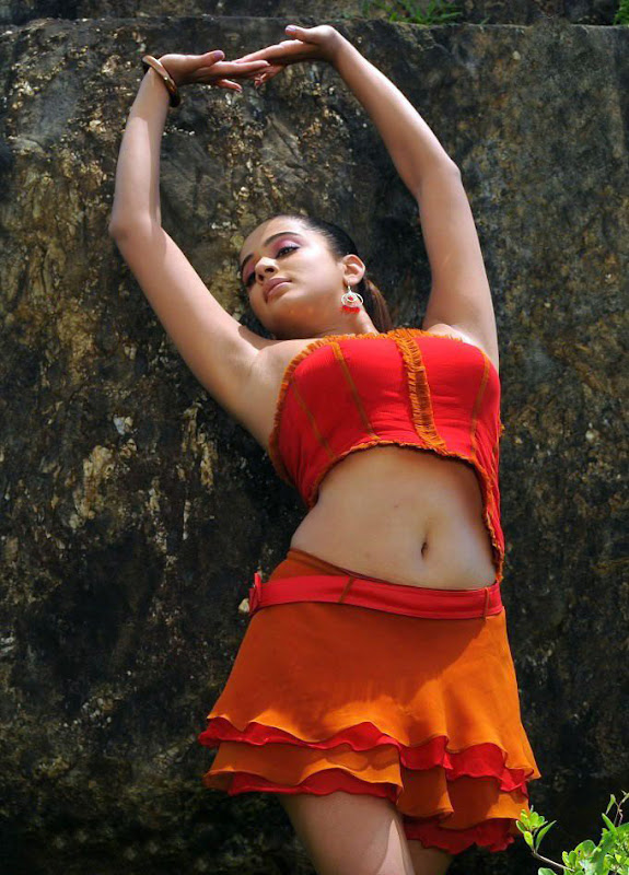 Actress Priyamani Hot Photos From Raaj Telugu Movie Stills hot images